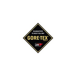 ΜΠΟΤΑΚΙ LOWA INNOX GTX MID